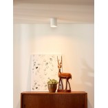 Lampa Spot tuba Bodi Okrągły Biały 8 marki Lucide