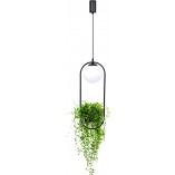 Lampa wisząca szklana kula z kwietnikiem Plant 20cm biało-czarna Zumaline