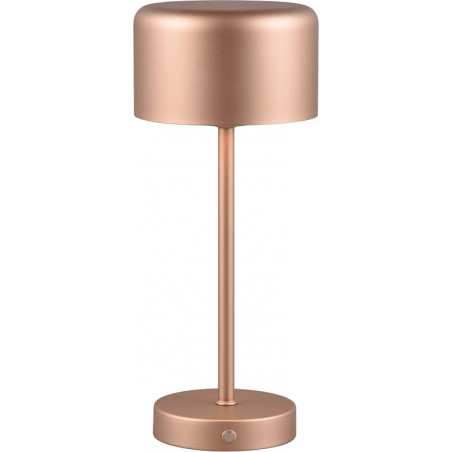 Lampa stołowa minimalistyczna z usb Jeff LED kawowa Reality
