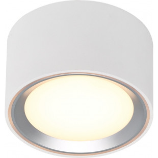 Lampa spot okrągła Fallon 10cm LED biały / stal Nordlux