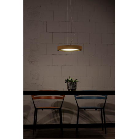 Lampa wisząca betonowa Planta LED 39cm naturalny szary Loftlight