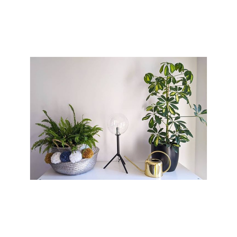Lampa stołowa szklana kula Andrew Czarny/Przeźroczysty marki Markslojd