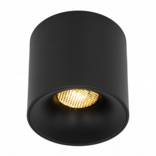 Lampa spot tuba Blaze LED CCT 30W 3000/4000/6000K 11,8cm czarna TK Lighting