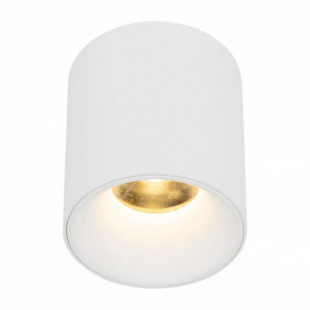 Lampa spot tuba Blaze LED 12W 3000K 7,3cm biała TK Lighting