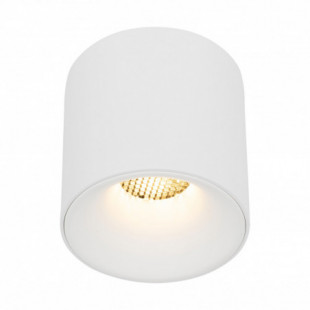Lampa spot tuba Blaze LED 18W 3000K 9,6cm biała TK Lighting