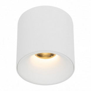 Lampa spot tuba Blaze LED 18W 3000K 9,6cm biała TK Lighting