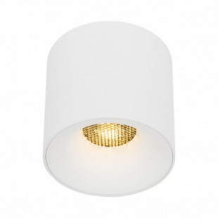 Lampa spot tuba Blaze LED 30W 3000K 11,8cm biała TK Lighting