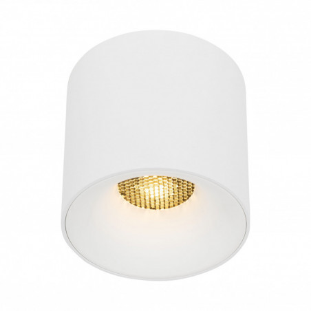 Lampa spot tuba Blaze LED 30W 3000K 11,8cm biała TK Lighting