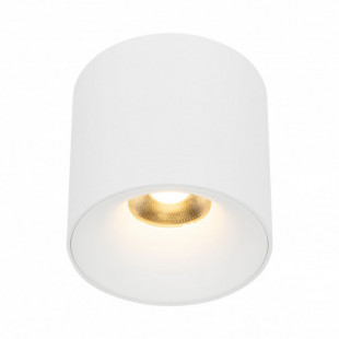 Lampa spot tuba Blaze LED 30W 3000K 11,8cm biała TK Lighting