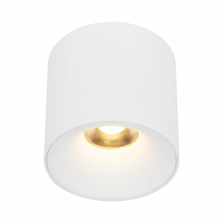 Lampa spot tuba Blaze LED 30W 3000K 11,8cm biała TK Lighting