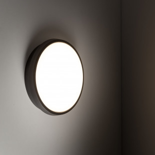Kinkiet okrągły / plafon zewnętrzny Sferis LED 3000K IP54 24,5cm czarny TK Lighting