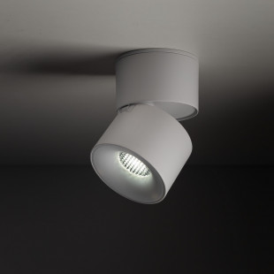 Reflektor regulowany Spark LED 3000/4000/6000K CCT 7cm biały TK Lighting