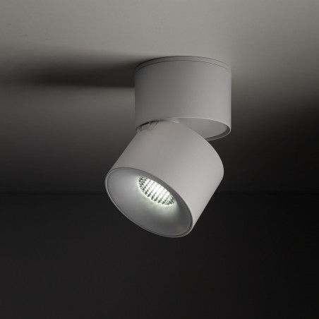 Reflektor regulowany Spark LED 3000/4000/6000K CCT 7cm biały TK Lighting