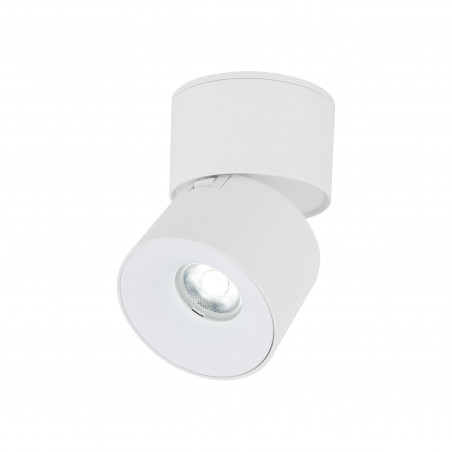 Reflektor regulowany Spark LED 3000/4000/6000K CCT 7cm biały TK Lighting