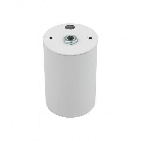 Lampa spot tuba Top 5cm H8cm biały TK Lighting