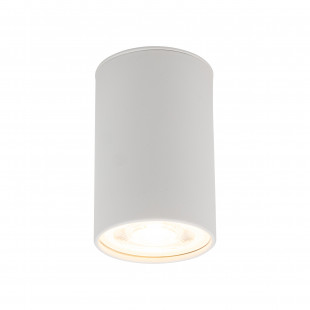 Lampa spot tuba Top 5cm H8cm biały TK Lighting