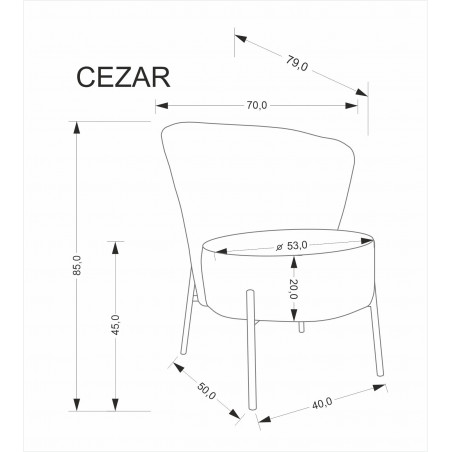 Fotel tapicerowany na wysokich nóżkach Cezar beżowy Halmar