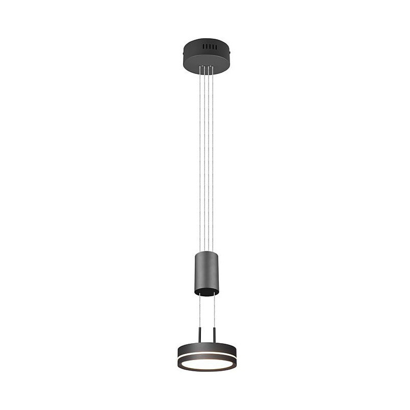 Lampa wisząca nowoczesna Franklin LED 14cm antracyt Trio