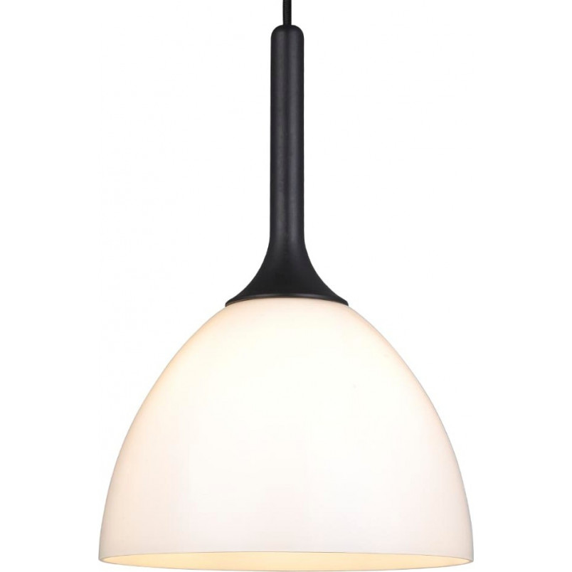 Lampa szklana Bellevue 24cm opal/czarne drewno HaloDesign